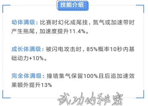 飞车宠物最新爆料在哪看,揭秘神秘新功能，独家观看攻略揭晓！  第1张