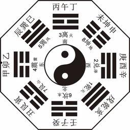社会八卦最新爆料视频大全,揭秘明星私生活幕后真相
